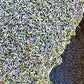 lavanda essiccata, lavanda per sacchettini profumati, lavanda per armadi, lavanda sfusa, fiori di lavanda, lavanda sgranata, vendita lavanda, vendita fiori di lavanda, pot pourry lavanda vendita online, lavanda naturale venita, lavanda per tisane vendita