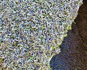 lavanda essiccata, lavanda per sacchettini profumati, lavanda per armadi, lavanda sfusa, fiori di lavanda, lavanda sgranata, vendita lavanda, vendita fiori di lavanda, pot pourry lavanda vendita online, lavanda naturale venita, lavanda per tisane vendita