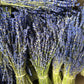 Mazzo di lavanda secca corta viola scuro, profumata e naturale, legata a mano per decorazioni, bomboniere e profumatori artigianali.