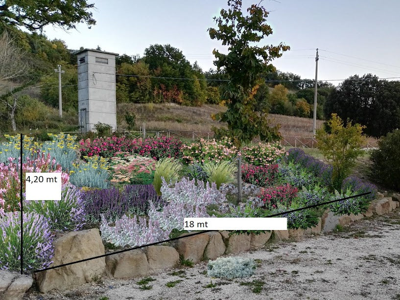 progetti scarpate, piante da mettere in una scarpata, piante che reggono il terreno, progetti giardini in pendenza, progetti giardini gratuiti, progetti giardino online, progetti giardini con piante perenni, giardini con piante a bassa manutenzione