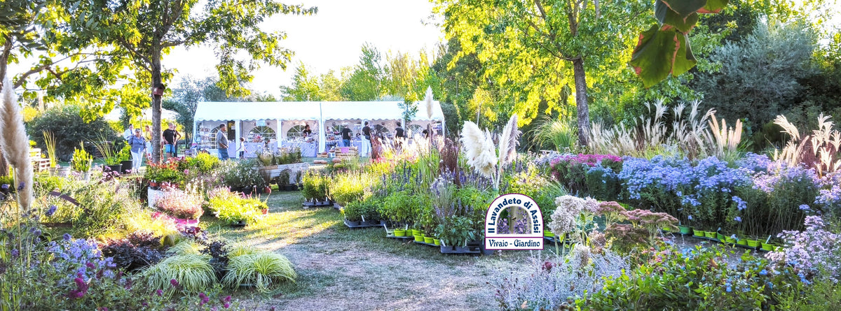 Eventi in Umbria, mostra mercato piante e fiori Perugia, mostra di giardinaggio in Umbria, eventi in Umbria, eventi Perugia e ottobre 2026. Assisi news, eventi Assisi, eventi Assisi 2026, manifestazioni Perugia, eventi in Umbria fine settimana, eventi in Umbria week end, eventi in Umbria undicesima edizione.