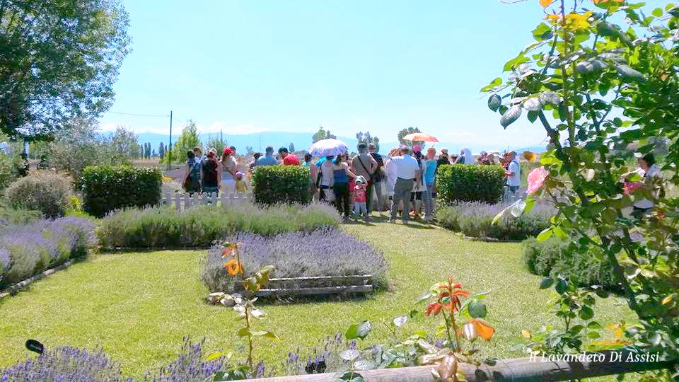 Visite guidate al giardino vivaio Umbria