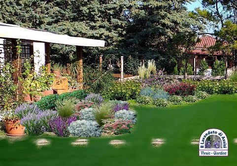 Progetti giardini online, progettazione giardini, progetti terrazzi,  progetti piccoli giardini privati , idee per aiuole al sole, idee per terrazzi con piante perenni a bassa manutenzione.  Immagini giardini, aiuole davanti casa, 