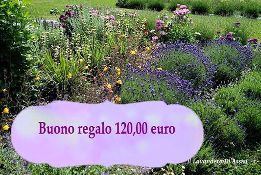 Gift voucher of 120 euros